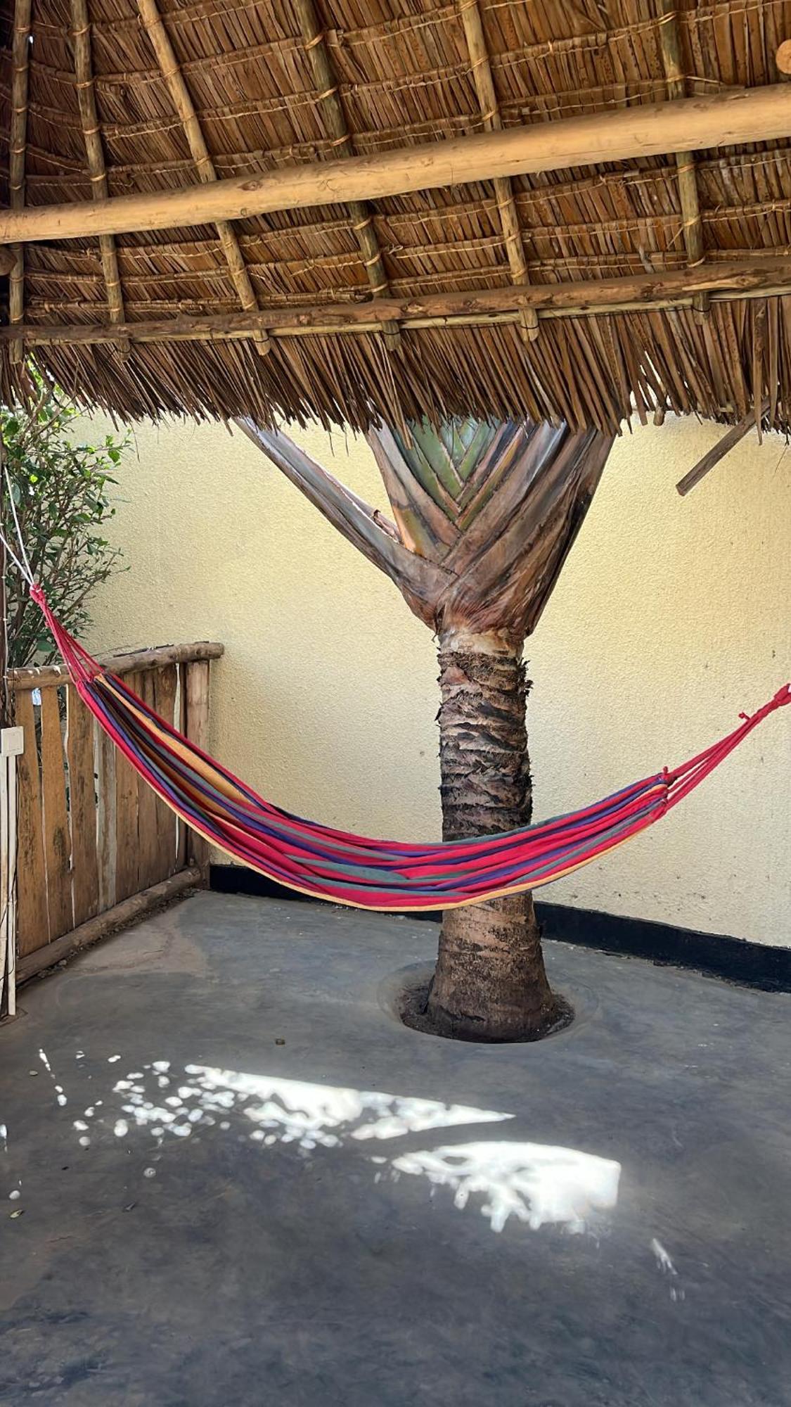 Stasumo House Arusha Bed & Breakfast Eksteriør bilde