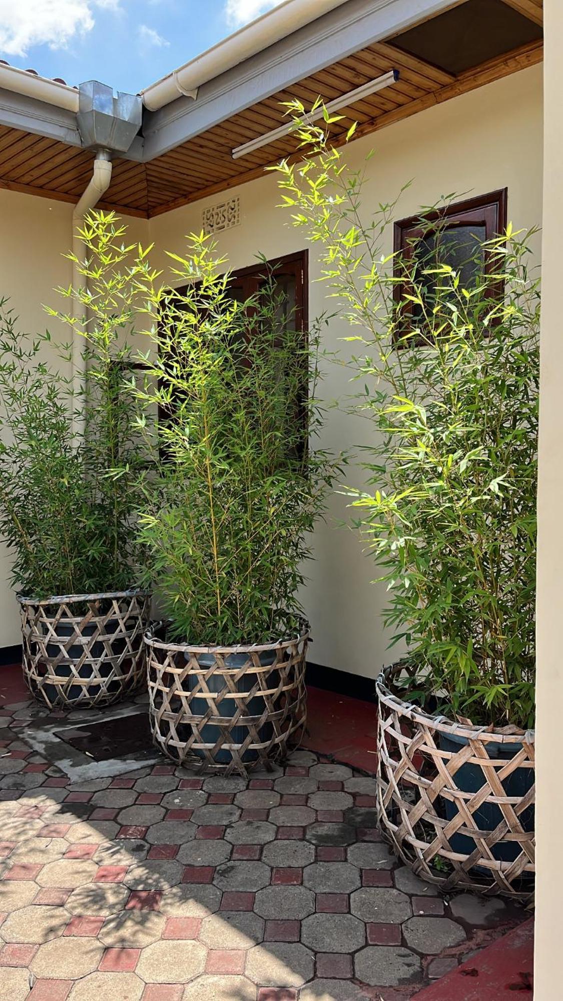 Stasumo House Arusha Bed & Breakfast Eksteriør bilde
